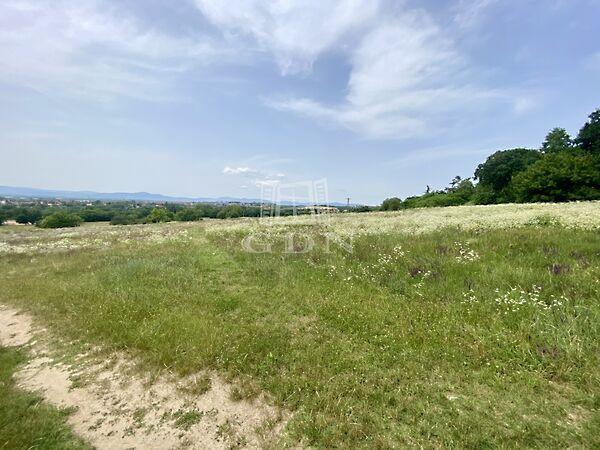 Vörösmarty, Fót képe