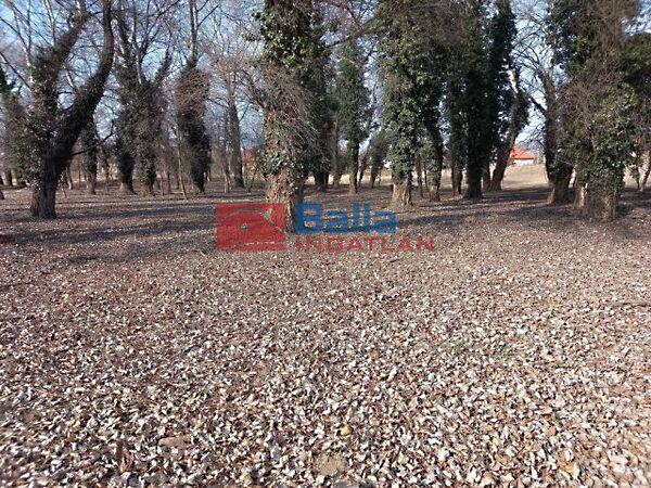 Kerepes 4483, Kerepes 2. képe