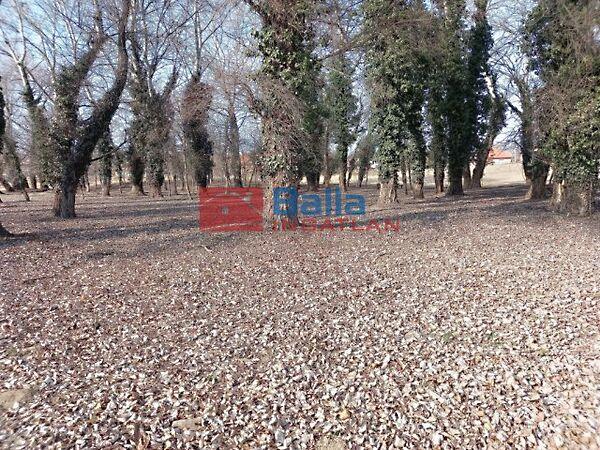 Kerepes 4483, Kerepes 3. képe