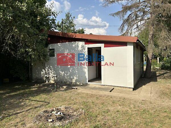 Nyírfa, Dömsöd 3. képe