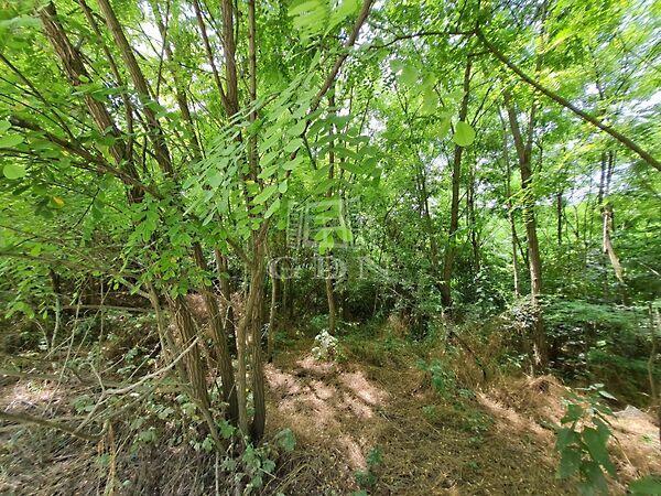 Öreghegy, Isaszeg képe