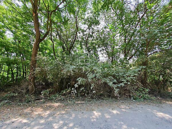 Öreghegy, Isaszeg 3. képe