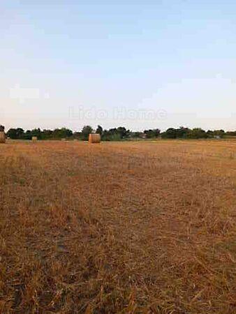 Balatonszabadi 3. képe