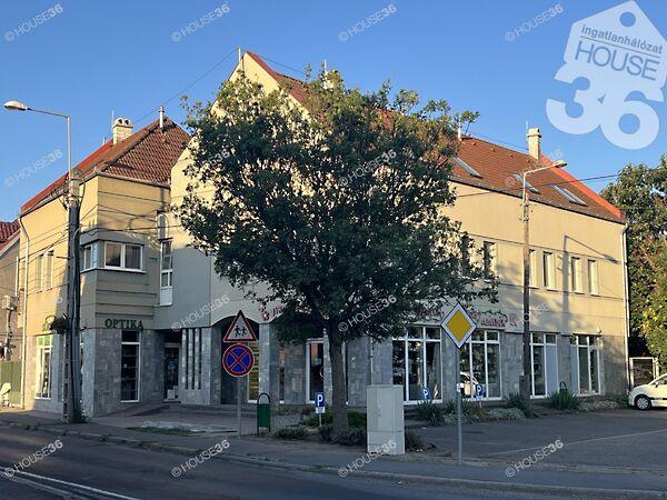 Kossuth, Solt 3. képe