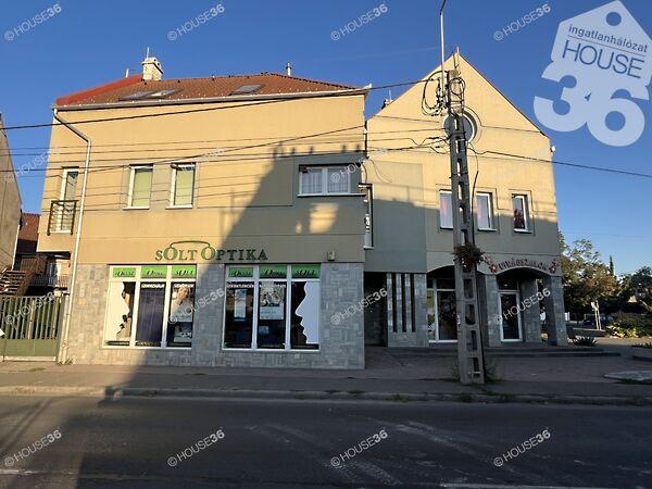 Kossuth, Solt 2. képe