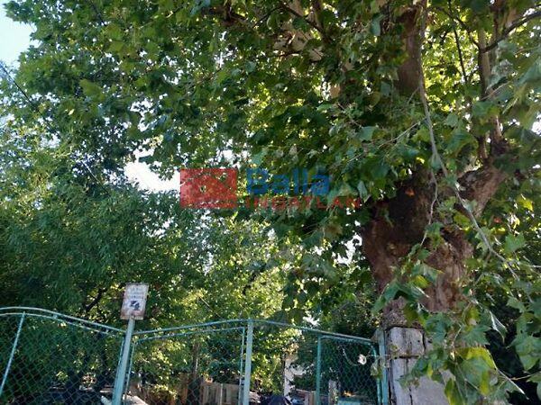 Zsámoly, Budapest, III. kerület 3. képe