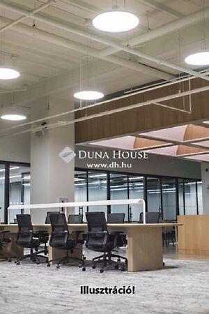 Petőfi Sándor, Kecskemét képe