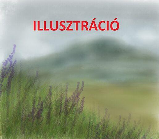 Dunaföldvári, Kecskemét képe