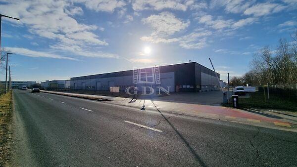 Japán, Székesfehérvár 3. képe