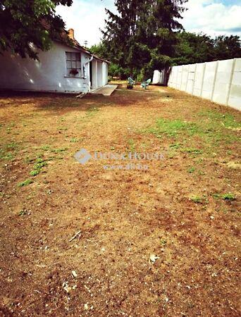 Temető, Pilis 2. képe