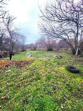 Gogol, Szeged 2. képe