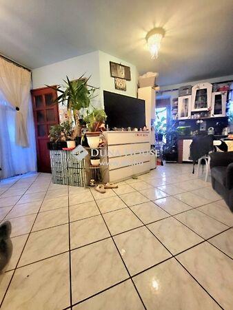 Gogol, Szeged 3. képe