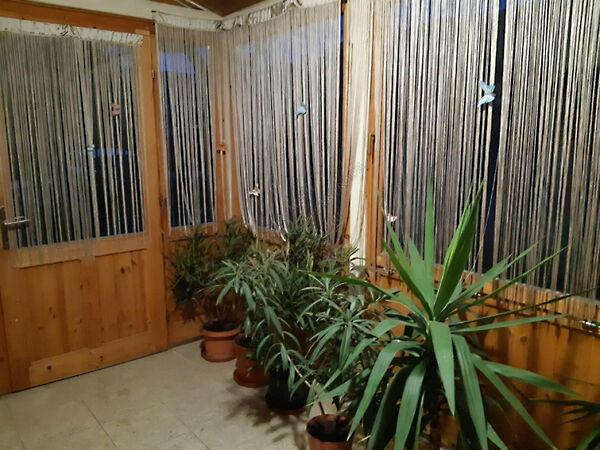 Szigeti István, Szentes 2. képe