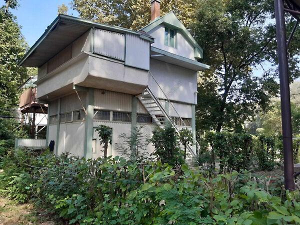 tiszai, Szentes 3. képe