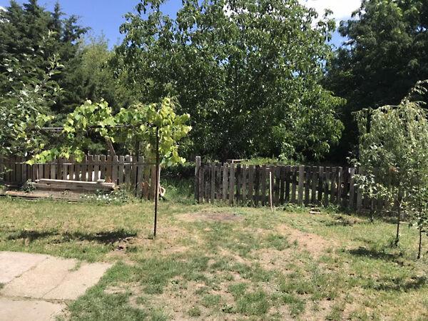 Deák Ferenc, Szentes képe