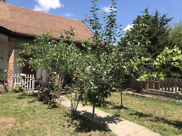 Deák Ferenc, Szentes 2. képe