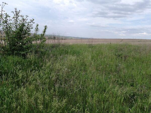 Széchenyi István, Baracska képe