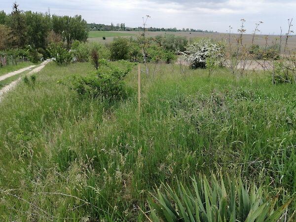 Széchenyi István, Baracska 3. képe