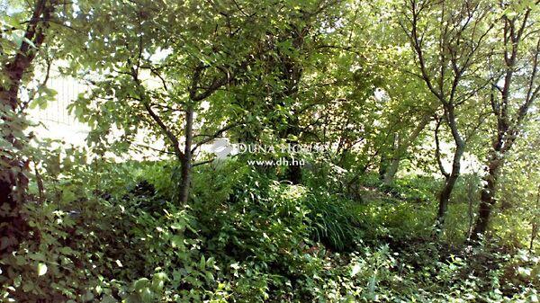 József Attila, Bicske képe