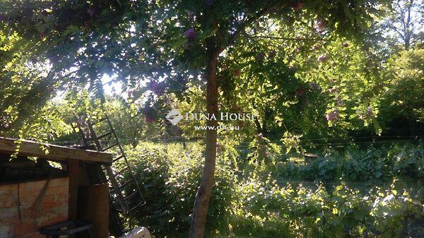 József Attila, Bicske 3. képe