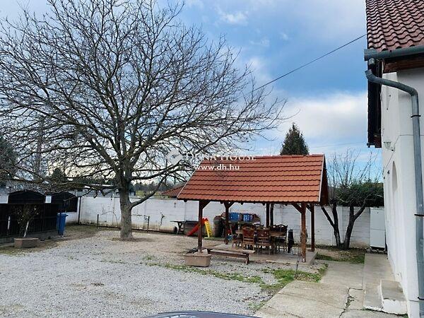 Nyár, Pécs 2. képe