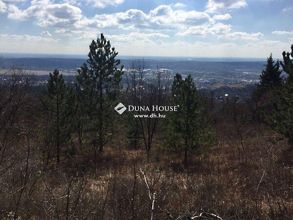 Őzike, Budaörs 2. képe