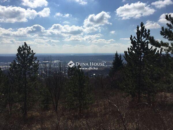 Őzike, Budaörs 3. képe