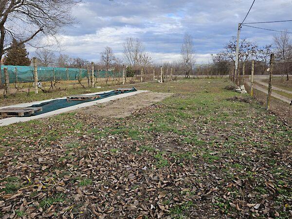 Kiskunhalas 2. képe