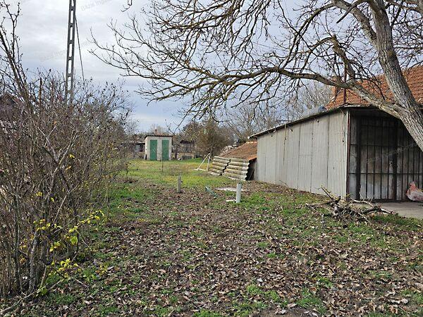 Kiskunhalas 3. képe