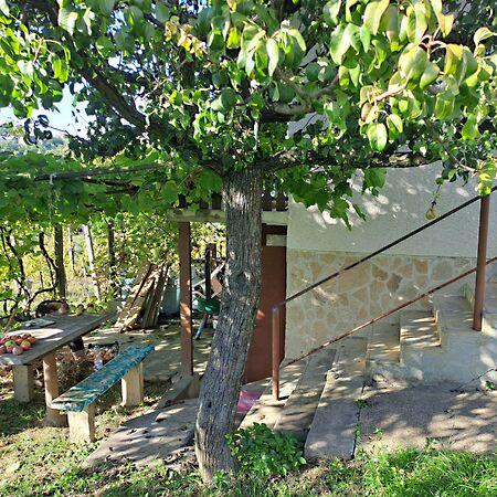 Zalaegerszeg 2. képe