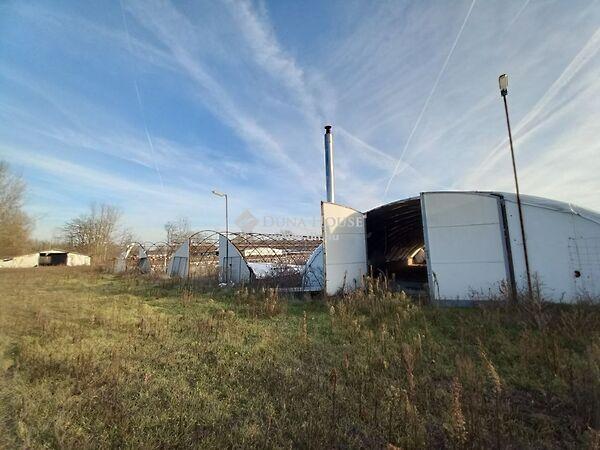 Kiskunmajsa 2. képe