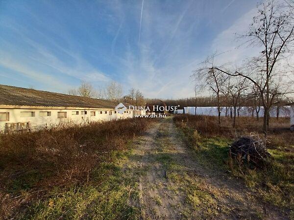 Kiskunmajsa 3. képe