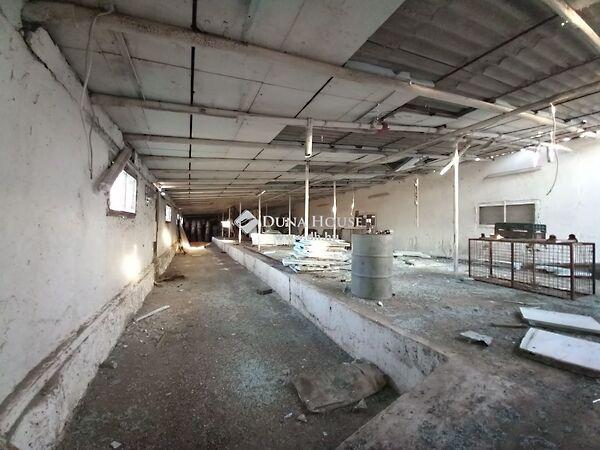 Kiskunmajsa 3. képe