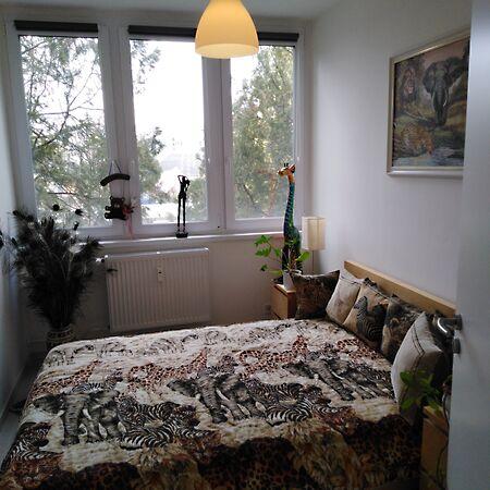 Őz, Nyíregyháza 3. képe