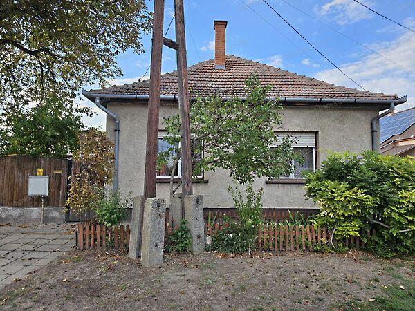 Kiskunhalas 2. képe