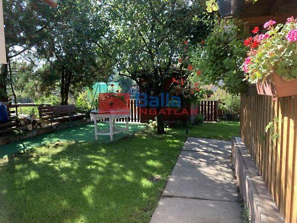 Őszirózsa, Budapest, XXIII. kerület 3. képe