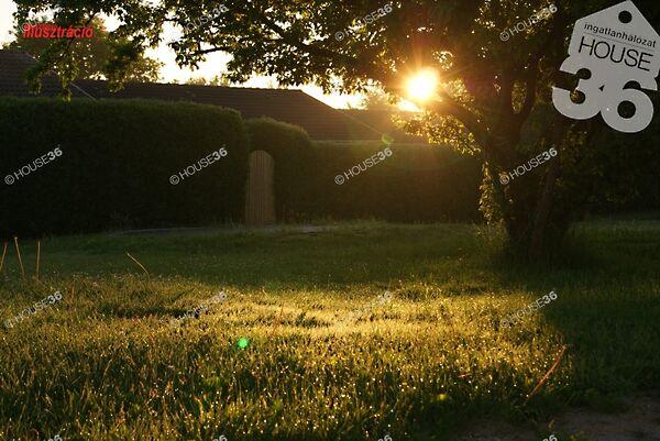 Kiskunfélegyháza képe