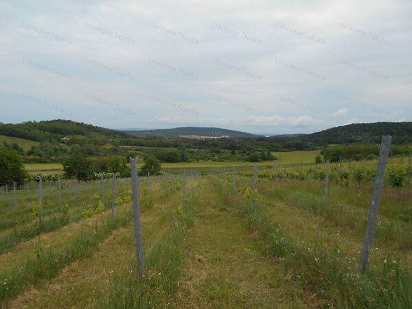 Mindszentkálla képe