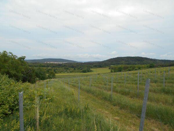 Mindszentkálla 2. képe