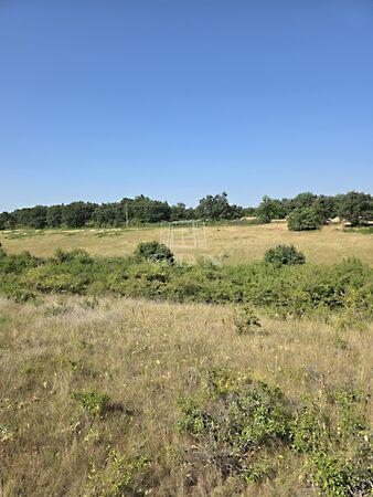 Balatonalmádi 2. képe