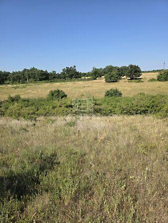 Balatonalmádi képe