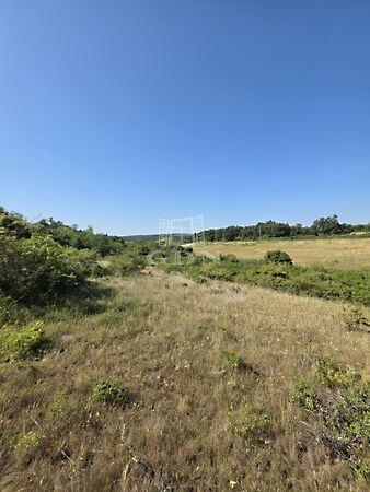 Balatonalmádi 3. képe