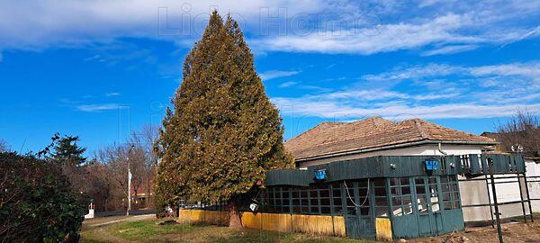 Balatonszemes 2. képe