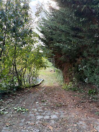 Alkony, Szentendre 3. képe