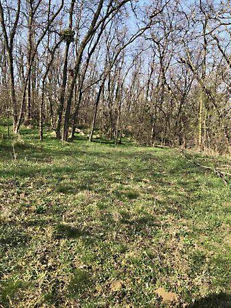 Zalaszentgrót 3. képe