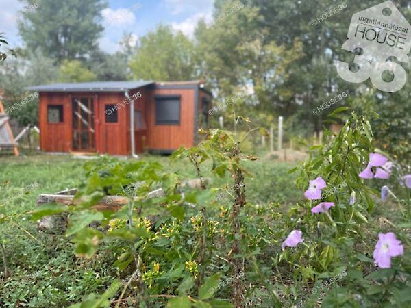 Kiskunfélegyháza képe