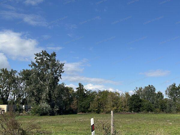 Balatonszárszó képe