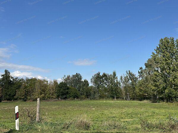 Balatonszárszó 2. képe