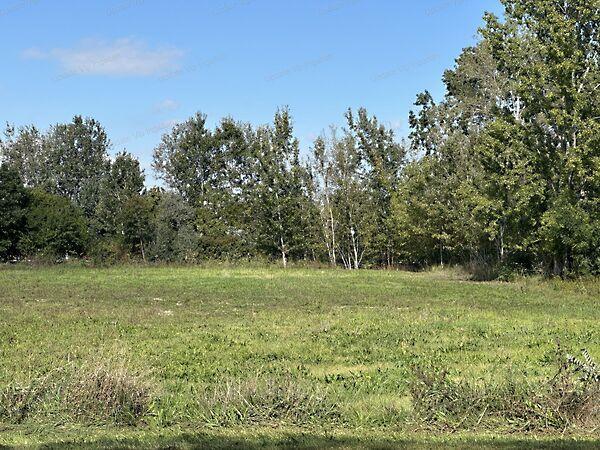 Balatonszárszó 3. képe