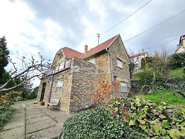 Szőlő, Pécs képe